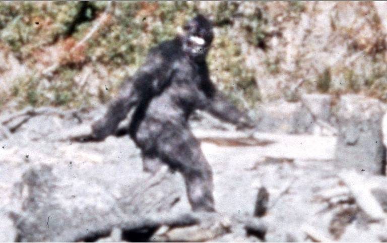 Still image of Bigfoot footage - Patterson 1967