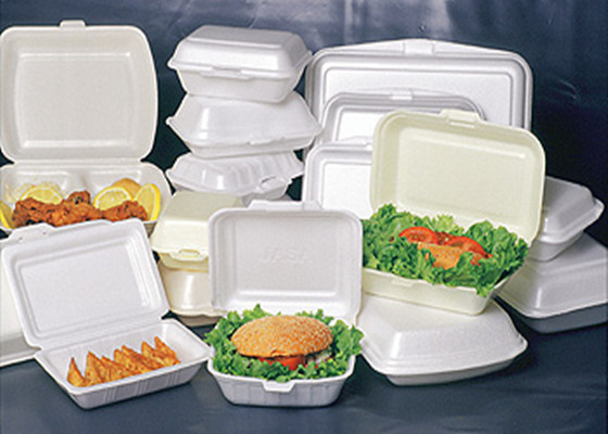 The Harmful Effect of Using Styrofoam on College Campuses