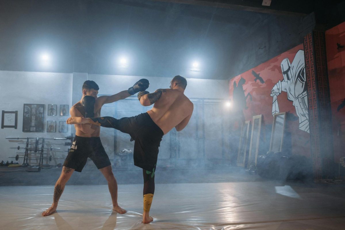UFC Fight Night: Gaston Bolanos vs. Quang Le