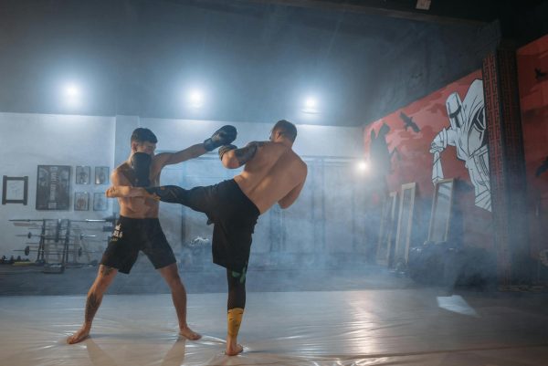 UFC Fight Night: Gaston Bolanos vs. Quang Le